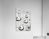 Palm Tree Thoughts One 41.55 Acrylic Print