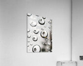 Palm Tree Thoughts Two  41.55 Acrylic Print