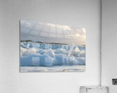 Cotton Foam One  60.40 Acrylic Print