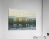 Fish Shadows  48.32 Acrylic Print