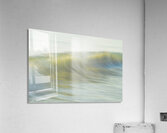 Soft Glimpse  72.48 Acrylic Print