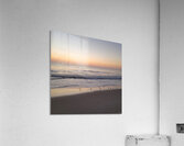 Sandpiper Morning  48.48 Acrylic Print