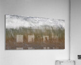 Green Florets 72.36 Acrylic Print