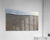 Foam Line with Shells 42.24 Acrylic Print