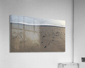 Foam Line with Shells 55.31 Acrylic Print