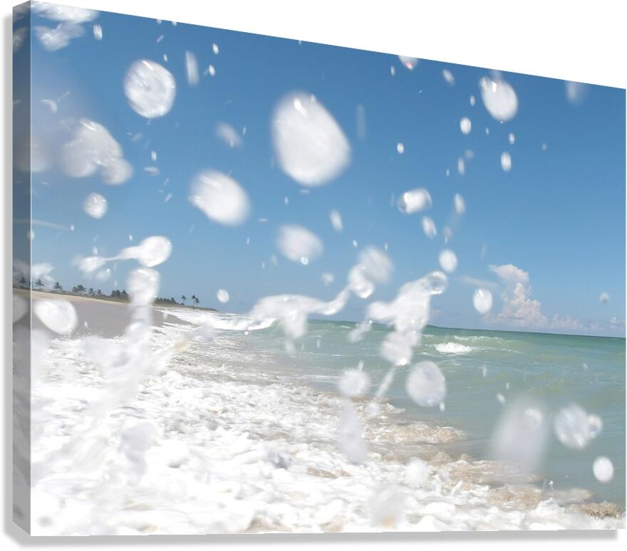 Sunny Splash