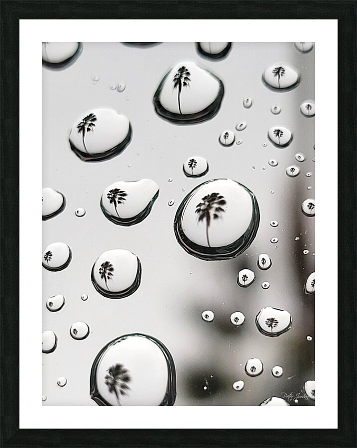 Palm Tree Thoughts Two 27.36 Picture Frame print