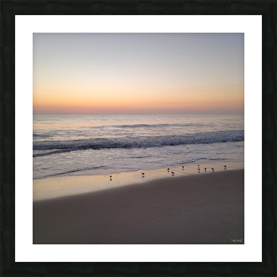 Sandpiper Morning  36.36 Picture Frame print