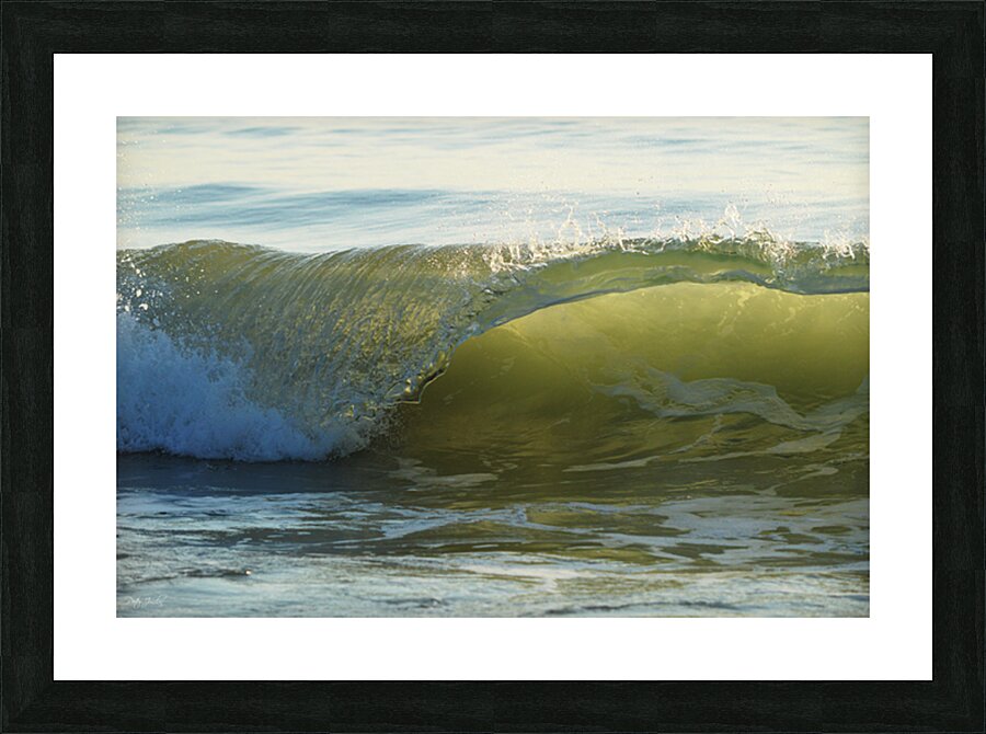 Wave Curl  36.24 Picture Frame print