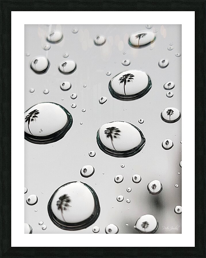 Palm Tree Thoughts One 27.36 Picture Frame print