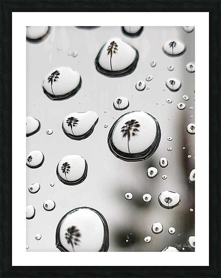 Palm Tree Thoughts Two  41.55 Picture Frame print