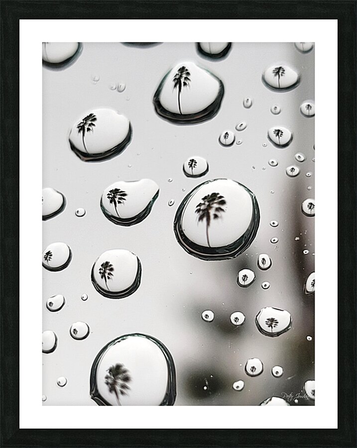 Palm Tree Thoughts Two  54.72 Picture Frame print