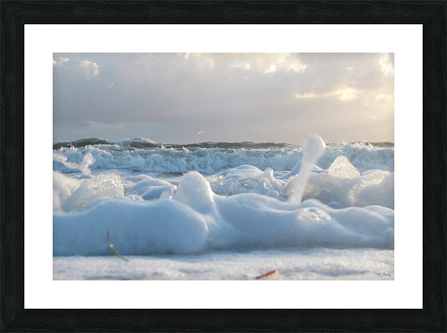 Cotton Foam One  48.32 Picture Frame print