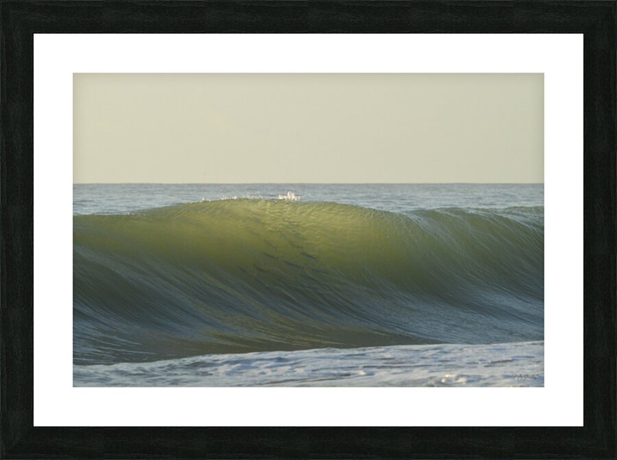 Fish Shadows  48.32 Picture Frame print