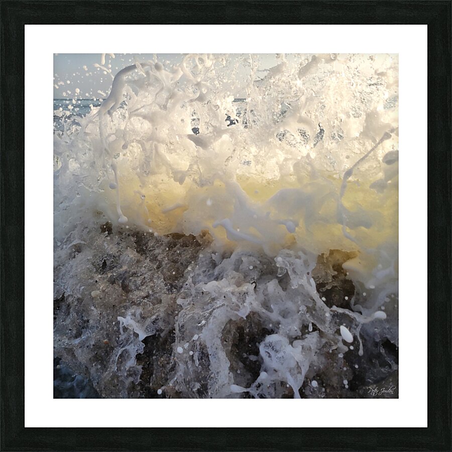 Morning Splash  48.48 Picture Frame print
