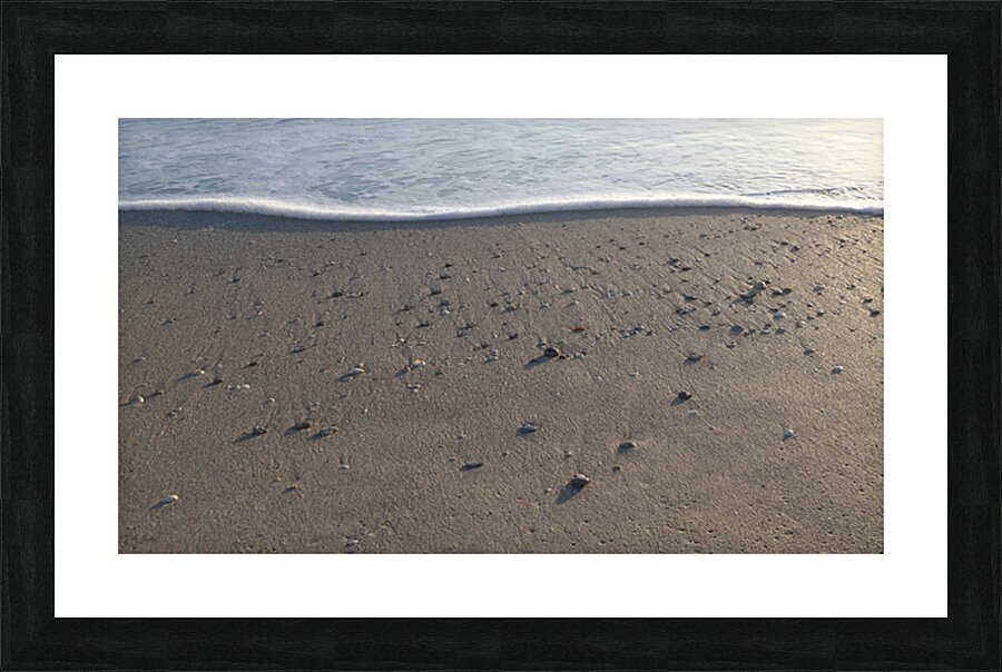 Foam Line with Shells 60.34 Picture Frame print