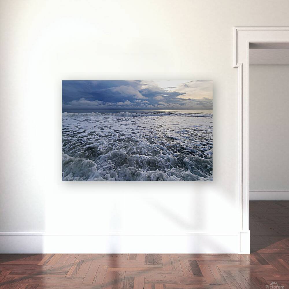 Receding Waters  36.24 Reproduction