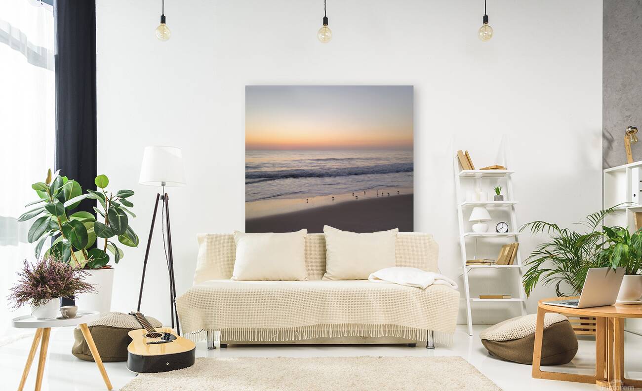 Sandpiper Morning  36.36 Reproduction