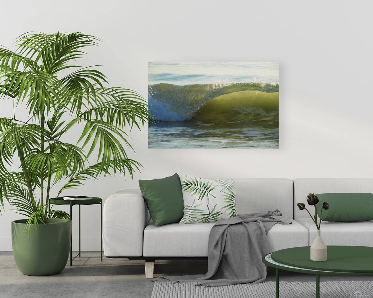 Wave Curl  36.24 Reproduction