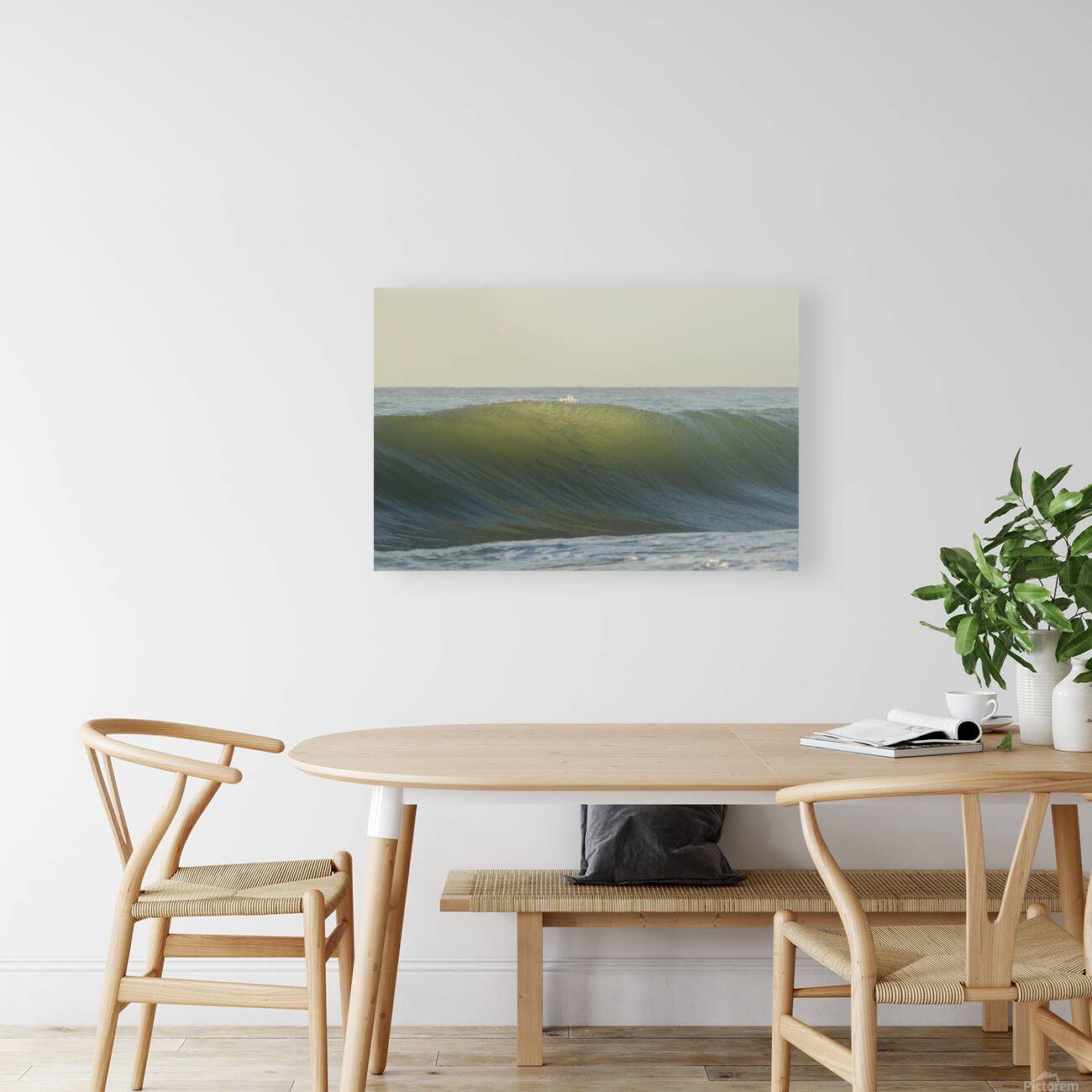 Fish Shadows  36.24 Reproduction