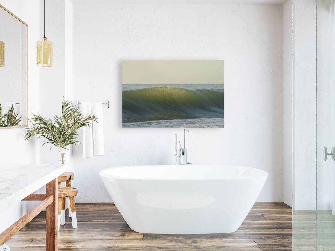 Fish Shadows  48.32 Reproduction