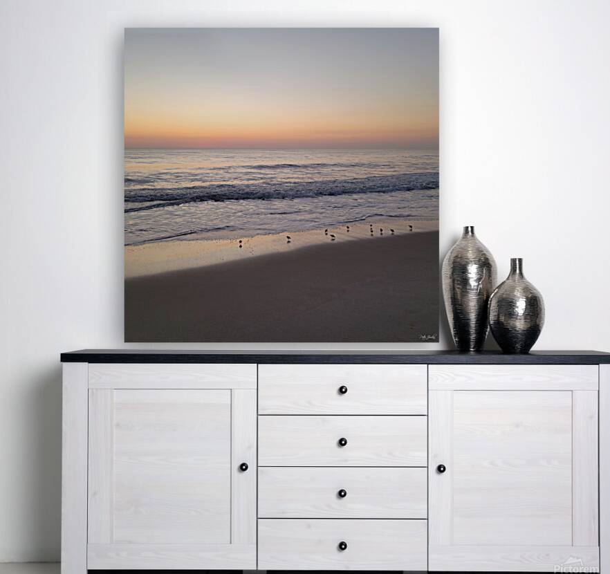 Sandpiper Morning  48.48 Reproduction