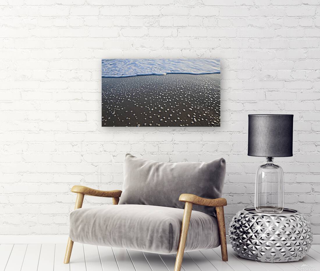 Receding Bubbles  42.24 Reproduction