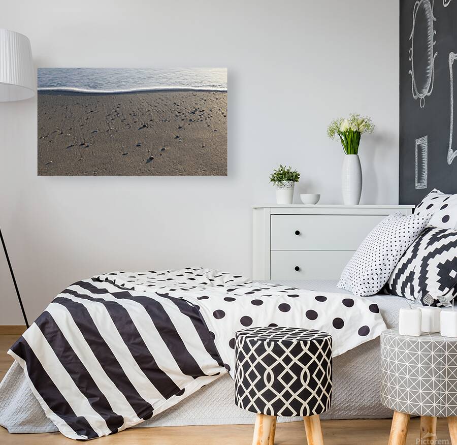 Foam Line with Shells 72.41 Reproduction