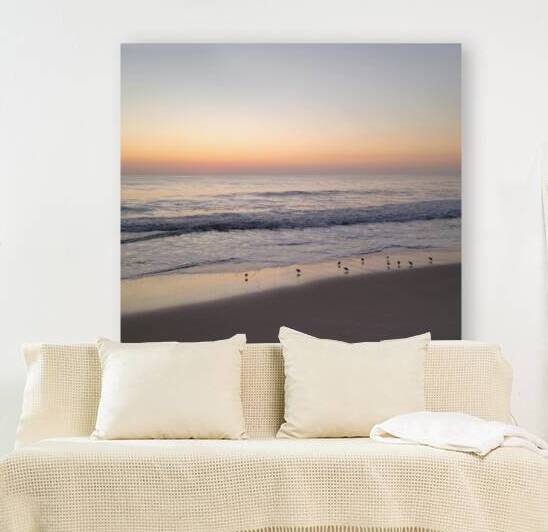 Sandpiper Morning  36.36 by Peter Jordan