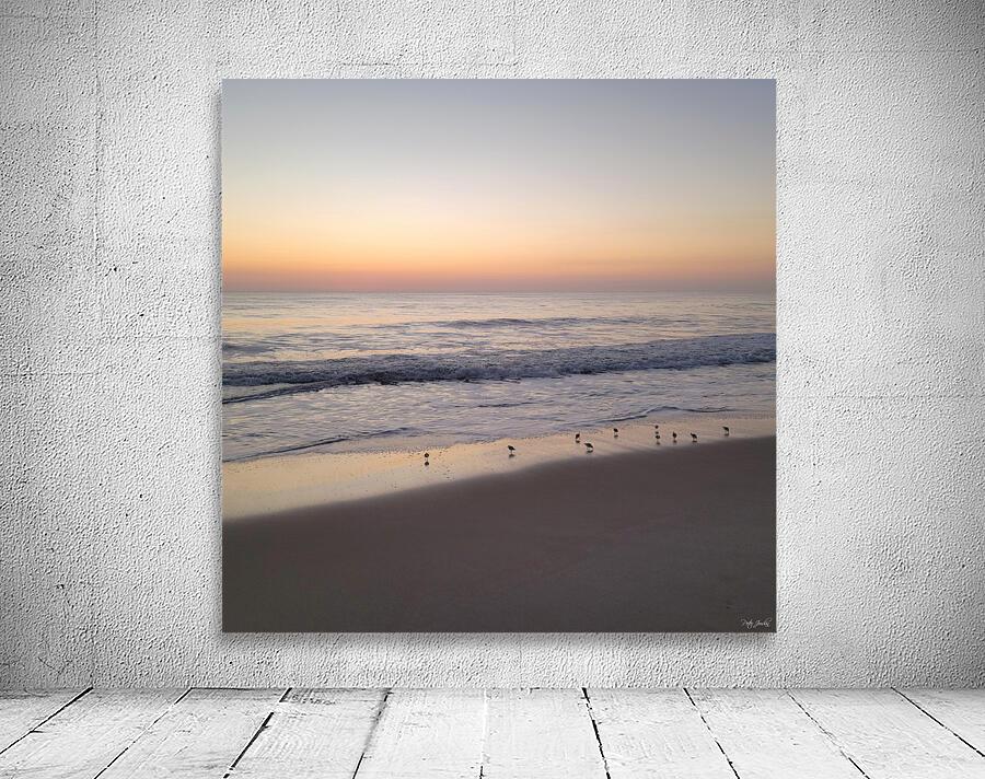 Sandpiper Morning  36.36 Wall Preview