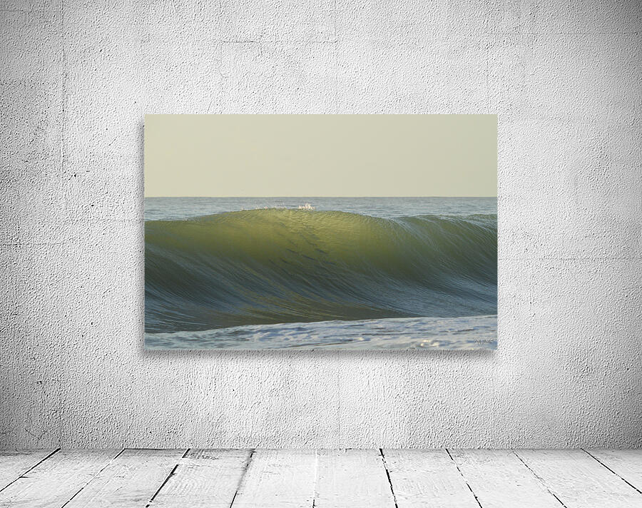 Fish Shadows  36.24 Wall Preview