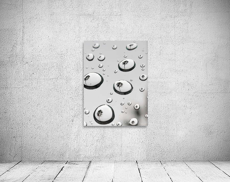 Palm Tree Thoughts One 27.36 Wall Preview