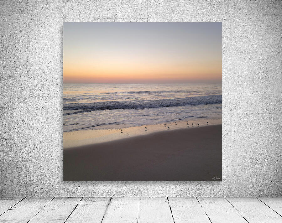 Sandpiper Morning  48.48 Wall Preview