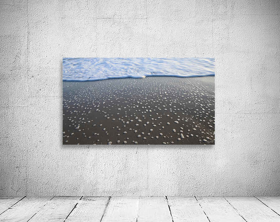 Receding Bubbles  72.41 Wall Preview