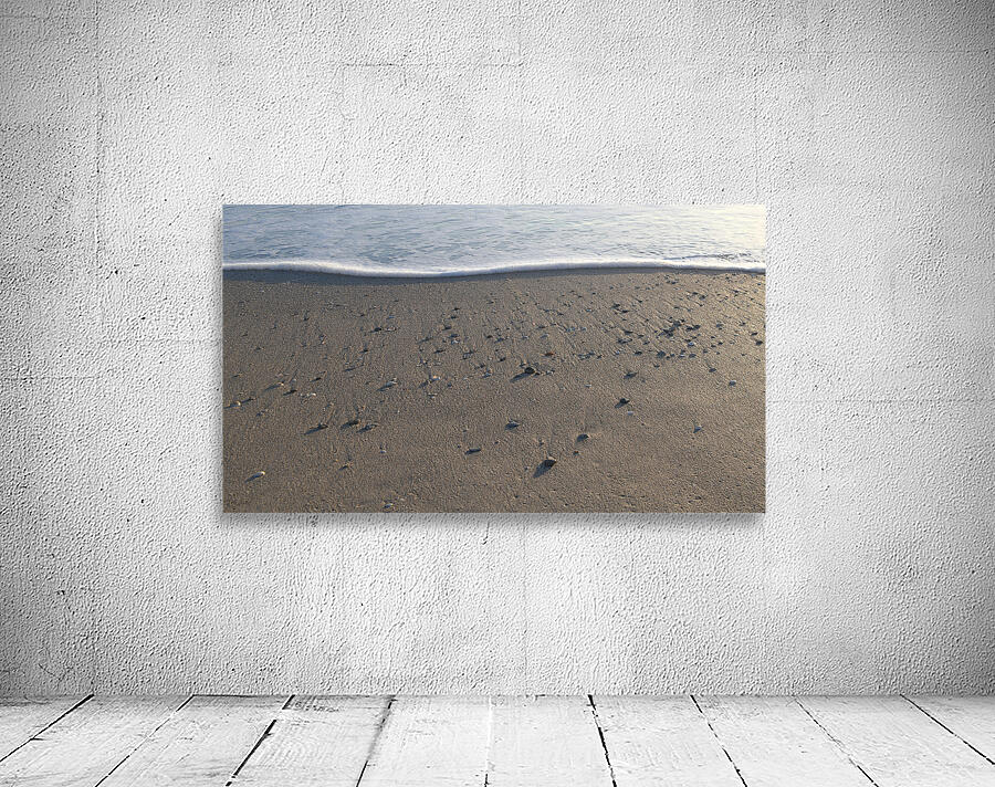 Foam Line with Shells 72.41 Wall Preview