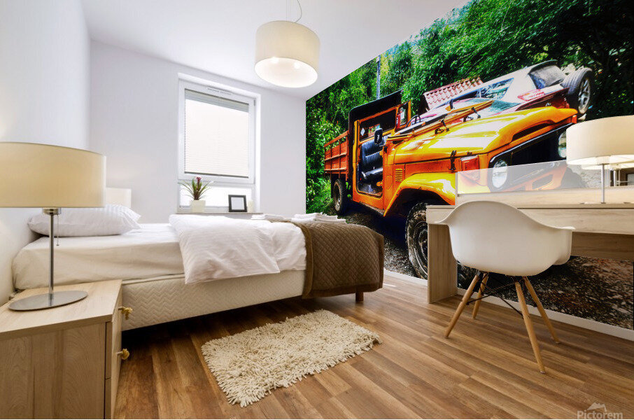 Truck Mural print