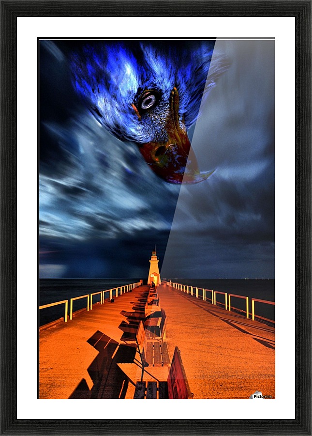 night. Picture Frame print
