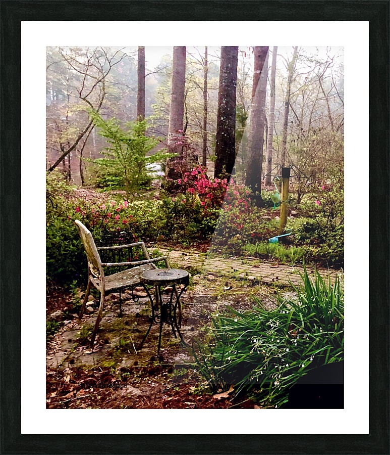 Early Spring Garden Picture Frame print