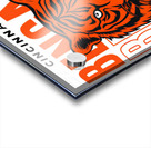 Cincinnati Bengals 5 Acrylic print