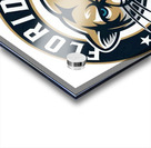Florida Panthers 2 Acrylic print
