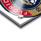 Florida Panthers 9 Acrylic print