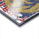 Florida Panthers 13 Acrylic print