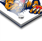 Florida Panthers 17 Acrylic print