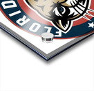 Florida Panthers 28 Acrylic print