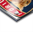 Florida Panthers 1 Acrylic print