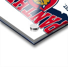 Florida Panthers 4 Acrylic print