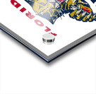 Florida Panthers 6 Acrylic print