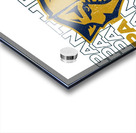 Florida Panthers 10 Acrylic print