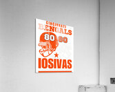 Cincinnati Bengals 5 Acrylic Print