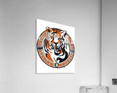 Cincinnati Bengals 8 Acrylic Print